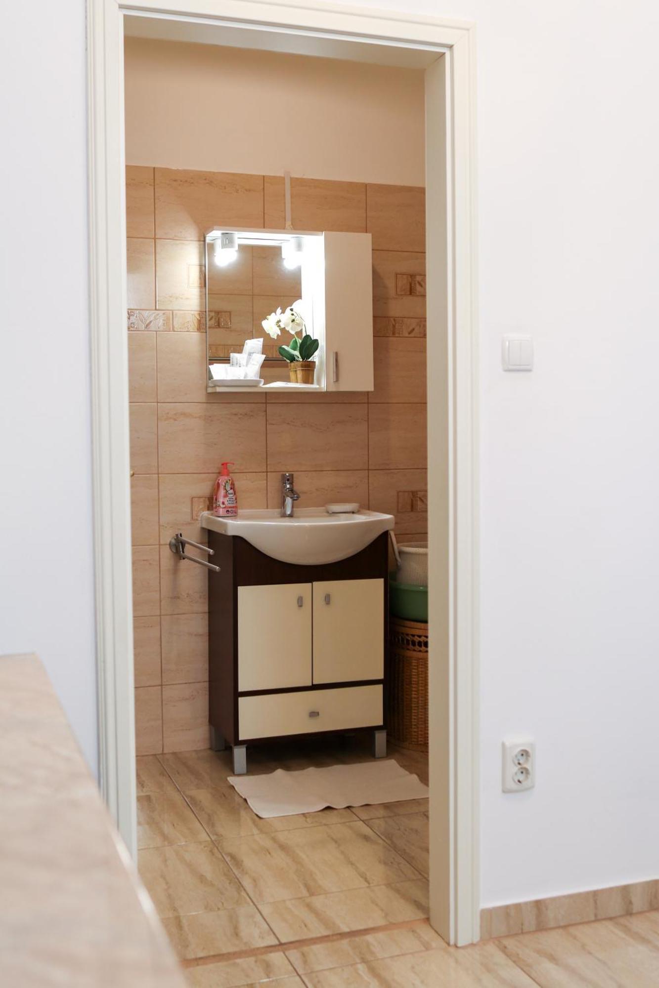 Neuhausz Residenz Ultra-Central Apartment Тимишоара Екстериор снимка
