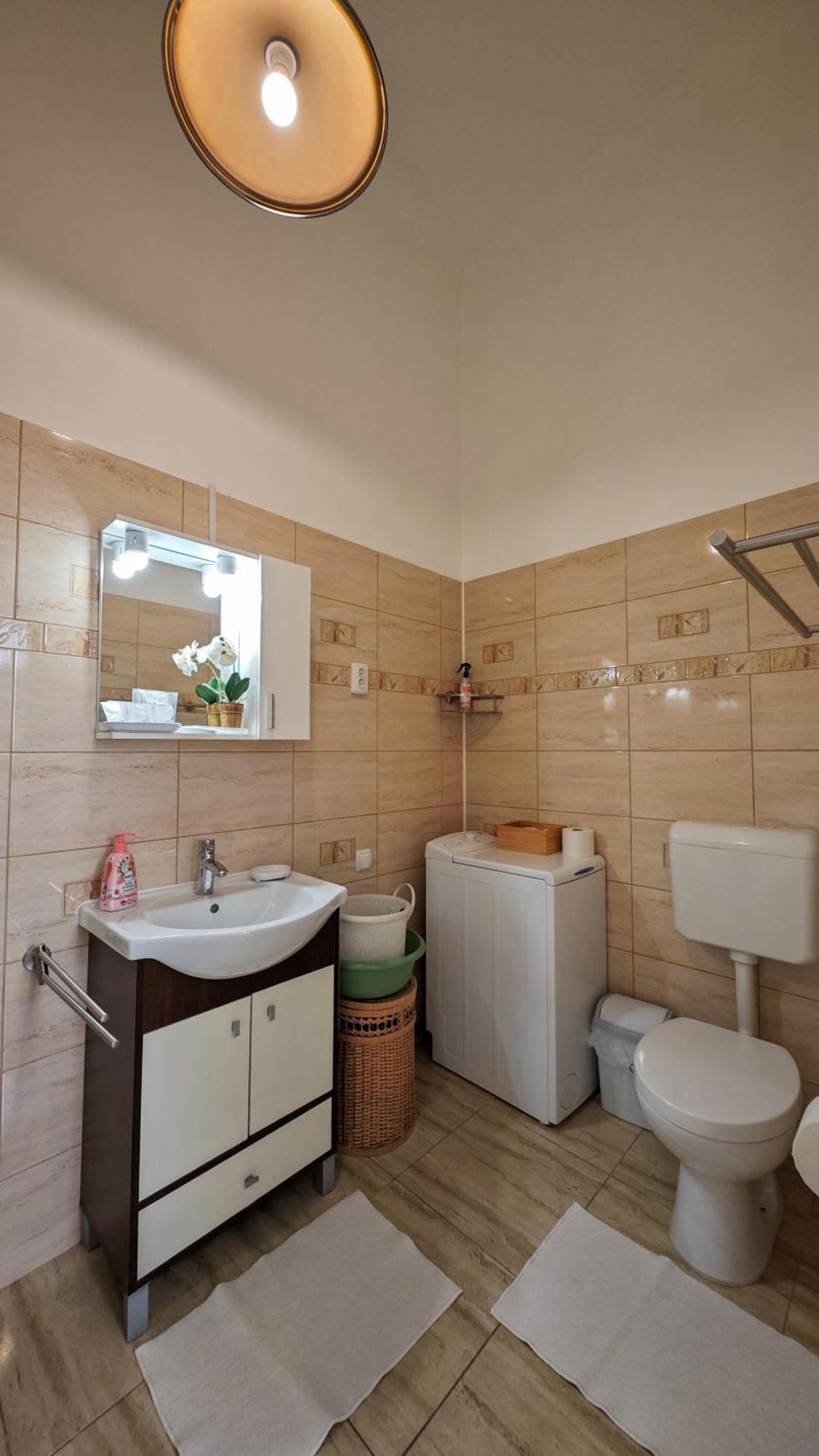 Neuhausz Residenz Ultra-Central Apartment Тимишоара Екстериор снимка