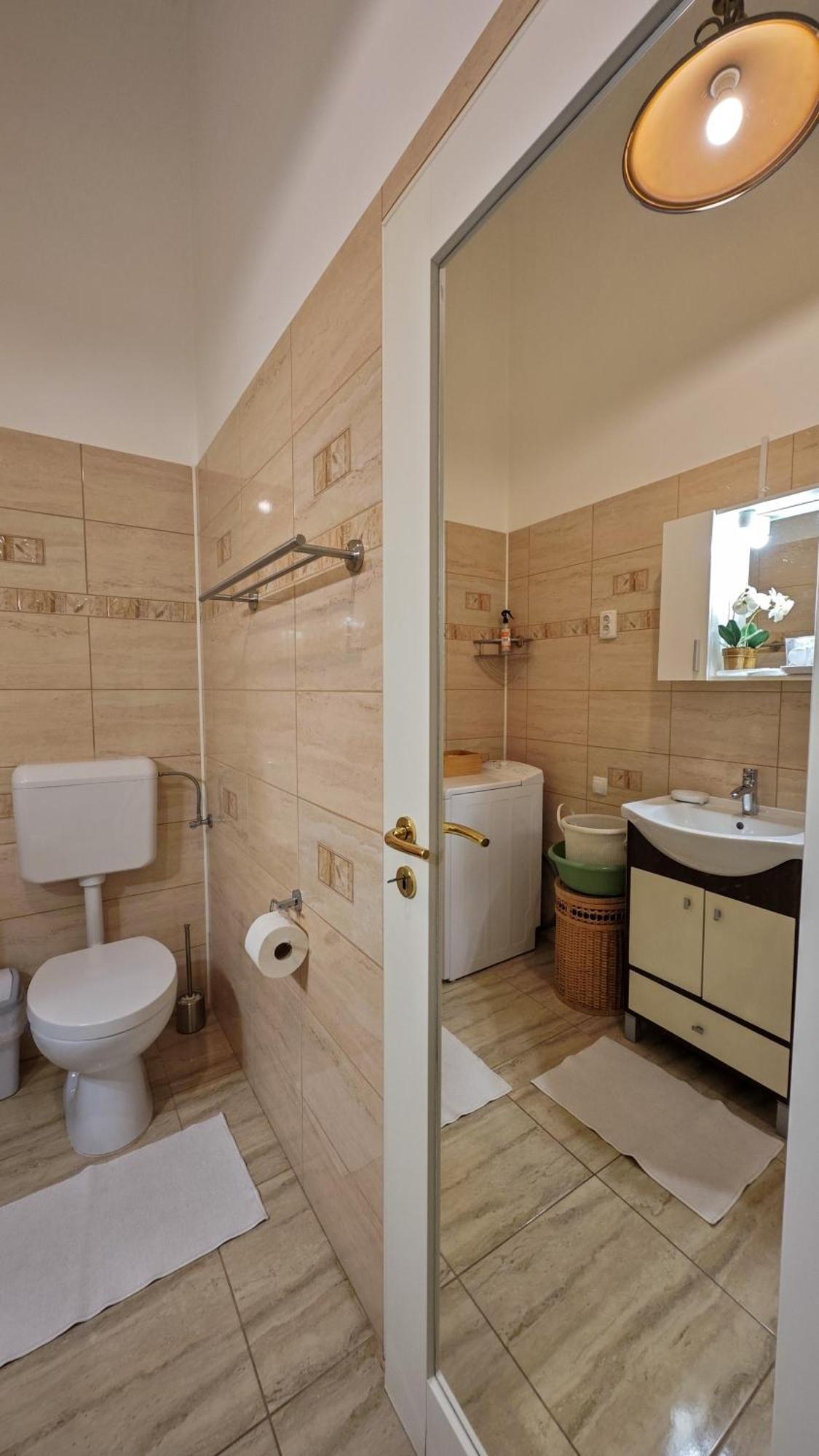 Neuhausz Residenz Ultra-Central Apartment Тимишоара Екстериор снимка
