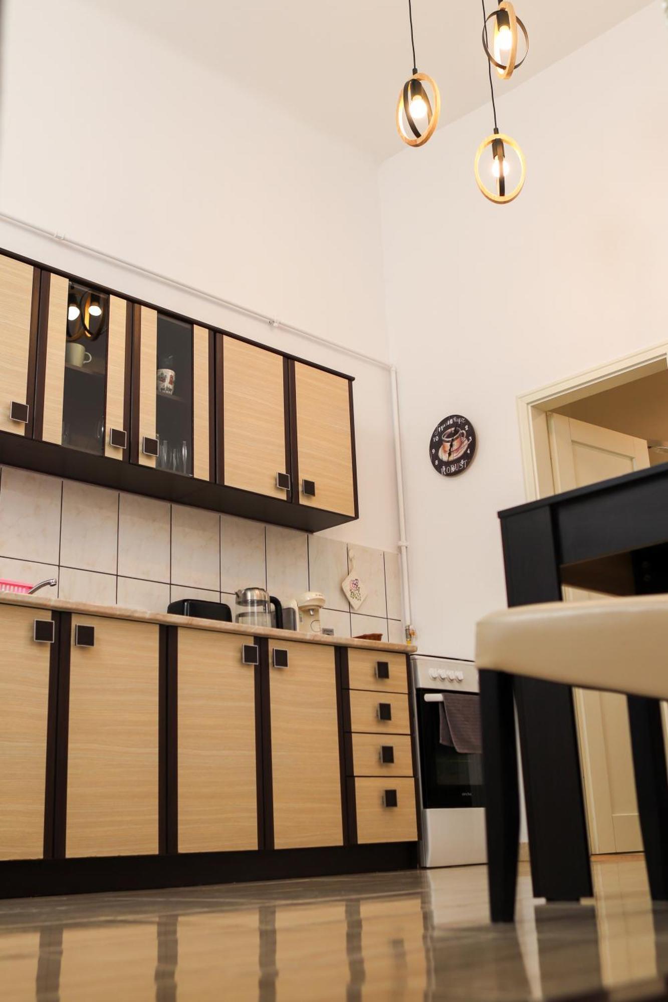 Neuhausz Residenz Ultra-Central Apartment Тимишоара Екстериор снимка